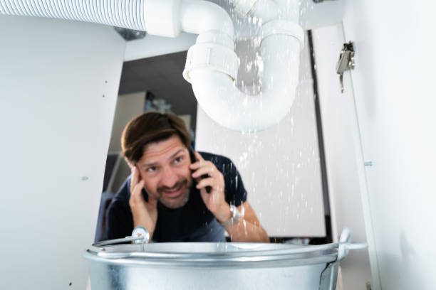 Best Emergency Plumbing Repair  in Gardnerville, NV
