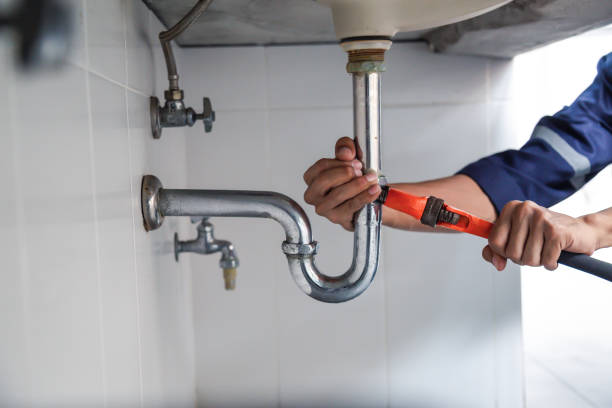 Best Residential Plumbing Services  in Gardnerville, NV